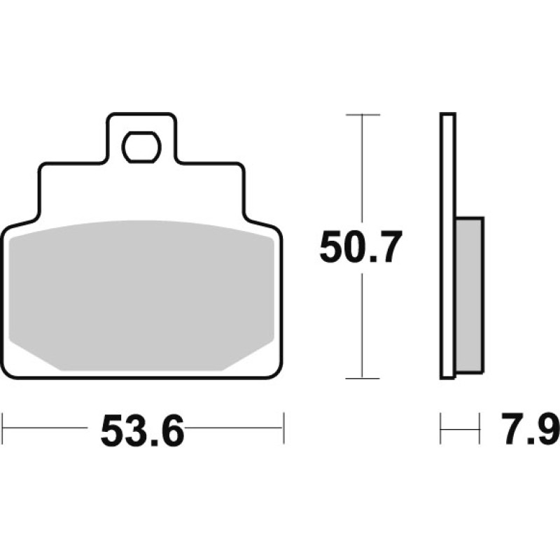 SBS Brakepads Carbon Tech