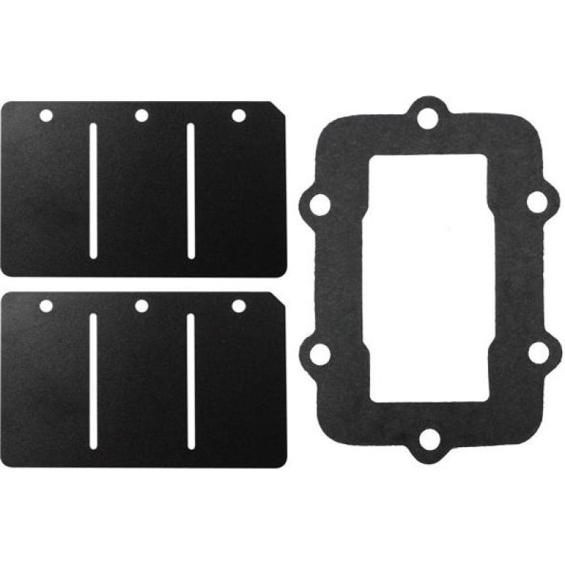 Sno-X Reed valve repair kit Ski-Doo