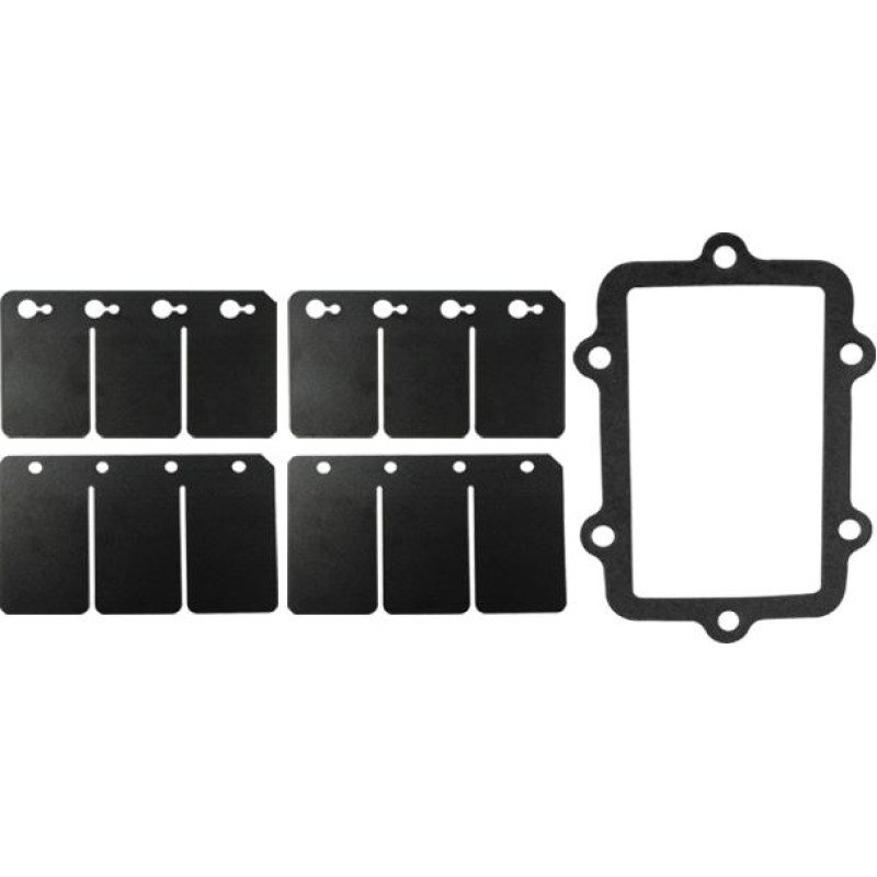 Sno-X Reed valve repair kit Ski-Doo