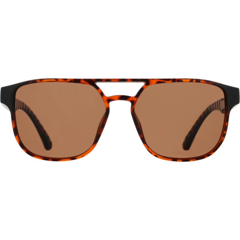Spect Red Bull Elroy Sunglasses Shiny Havana w Brown lens